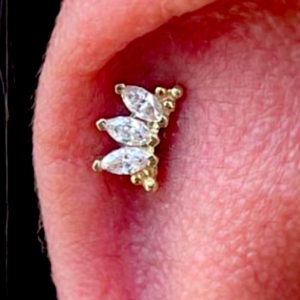 Solid gold Eloise earring jewelry